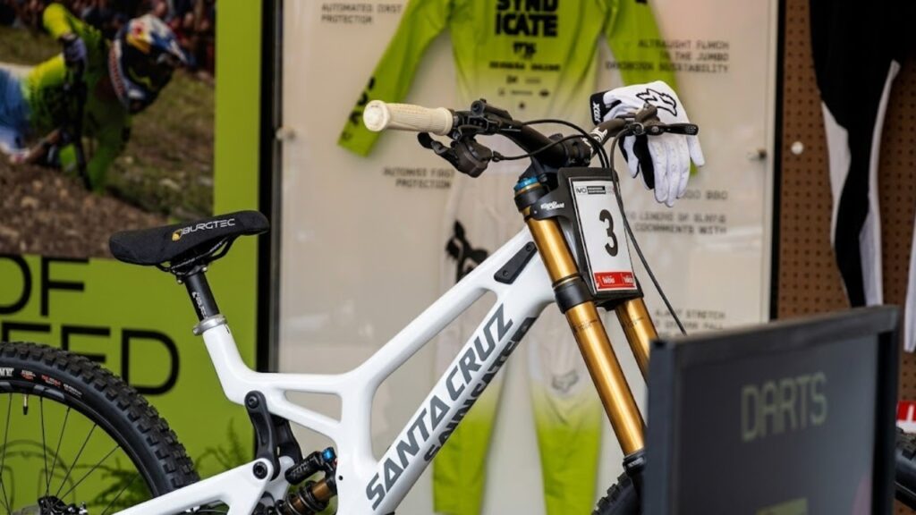 Dario’s Randoms Part 1: Sea Otter 2026 – Fun Facts, Conservation & Wildlife Insights