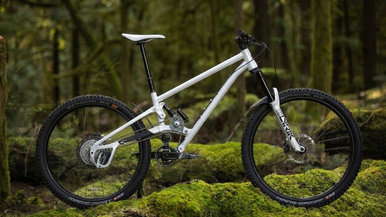 Zink Bikes Vacay Review: Comfort, Performance & Style for Adventure Riders